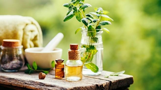 Cách Xua Đuổi Gián Hiệu Quả