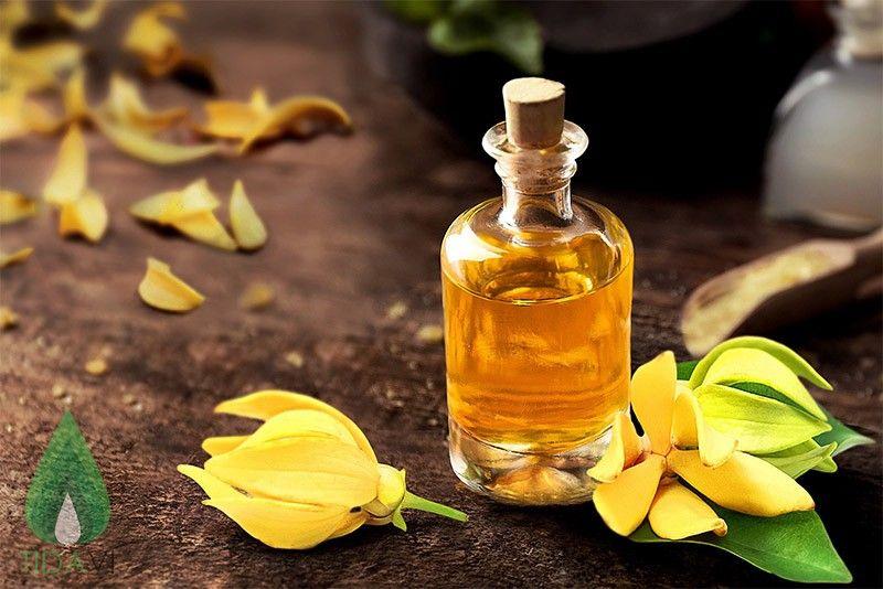 Lợi Ích Của Tinh Dầu Ylang Ylang