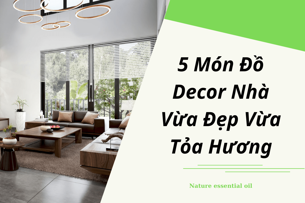 5 Món Đồ Decor Nhà Vừa Đẹp Vừa Tỏa Hương