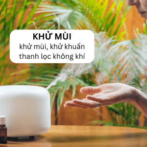tinh-dau-sa-chanh-khu-mui-hieu-qua