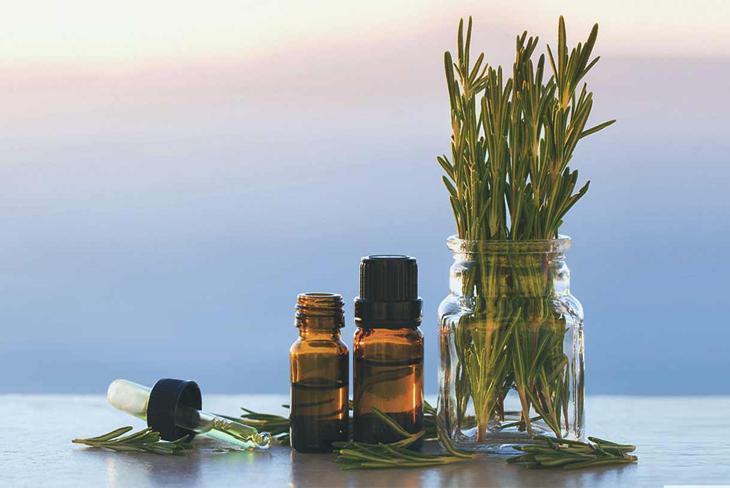 Top 5 Loại Tinh Dầu Đắt Đỏ Nhất Thế Giới